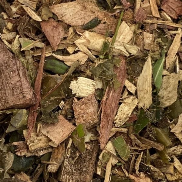 Tree Loppers Forest Mulch - Per M3