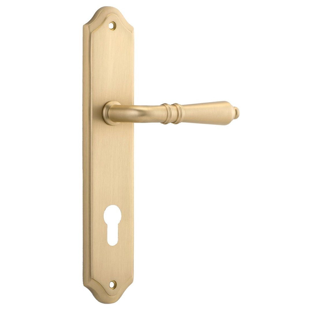 Iver Sarlat Entrance Lever Set Shouldered Backplate 250 X 48 X 55mm