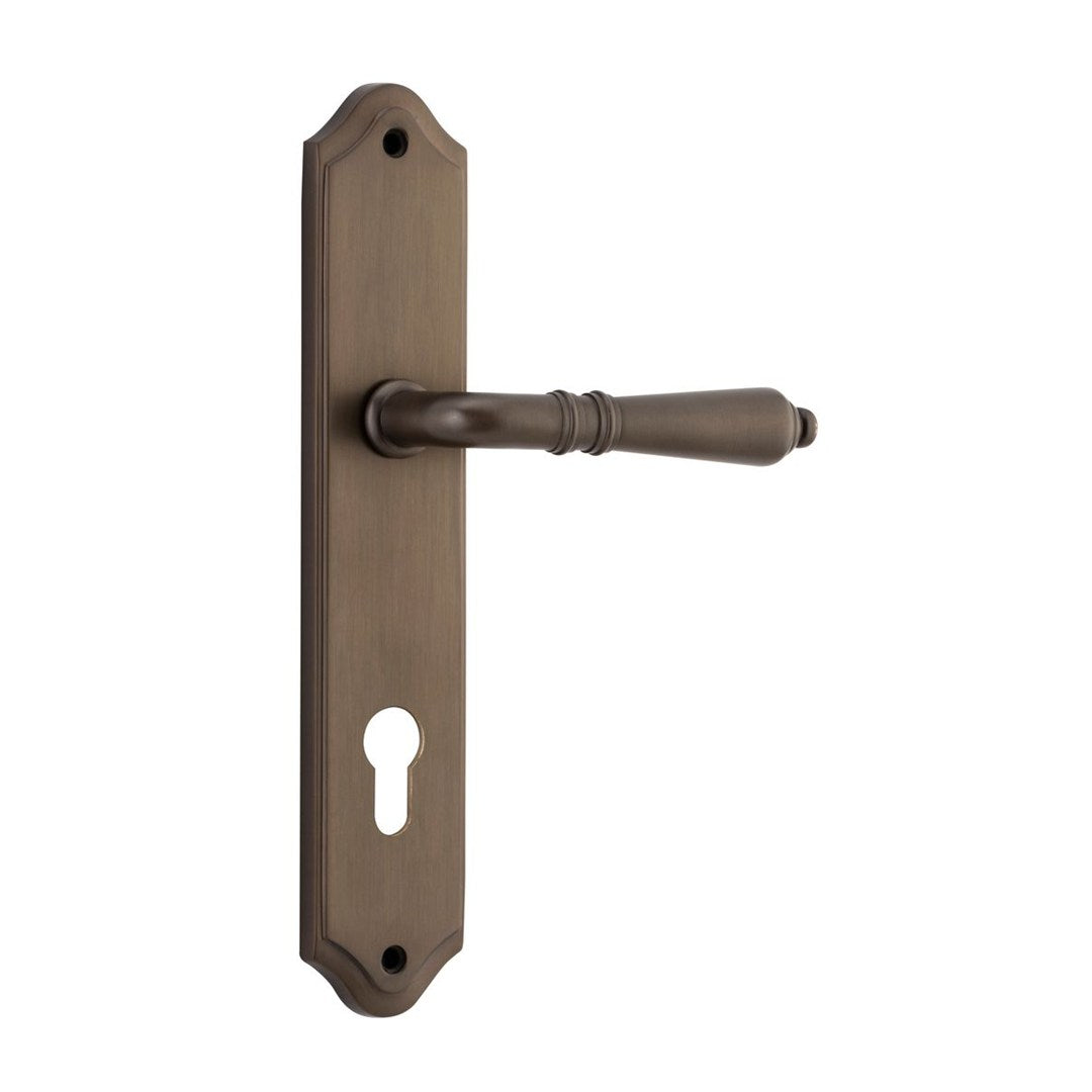 Iver Sarlat Entrance Lever Set Shouldered Backplate 250 X 48 X 55mm