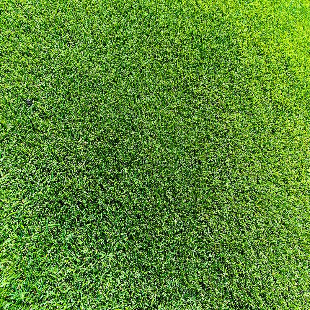 Sir Grange Turf Lawn Slab 600 X 1200 Per M2