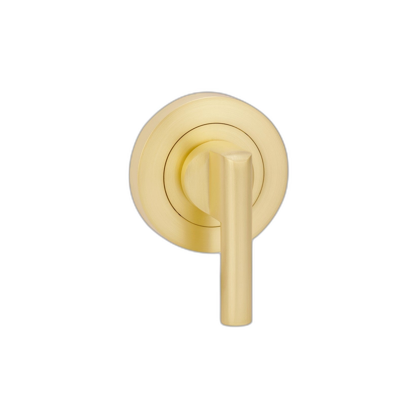Escutcheon With Disabled Turn