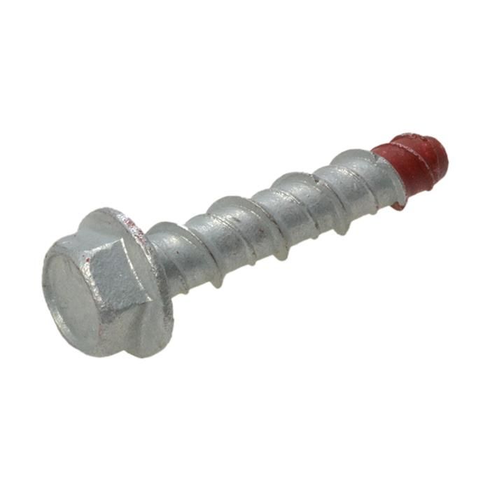 Hex Head Screwbolt