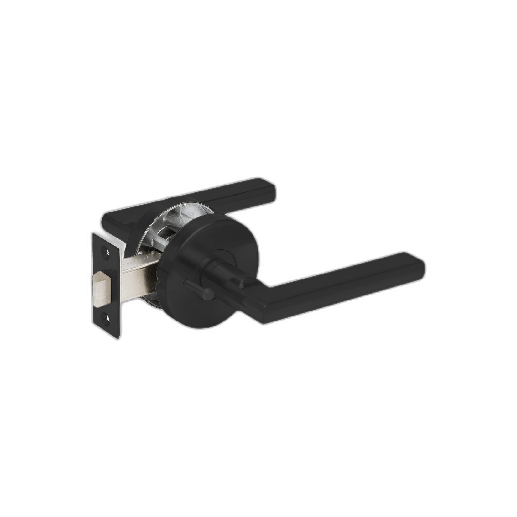 Aldo Integrated Privacy Blk