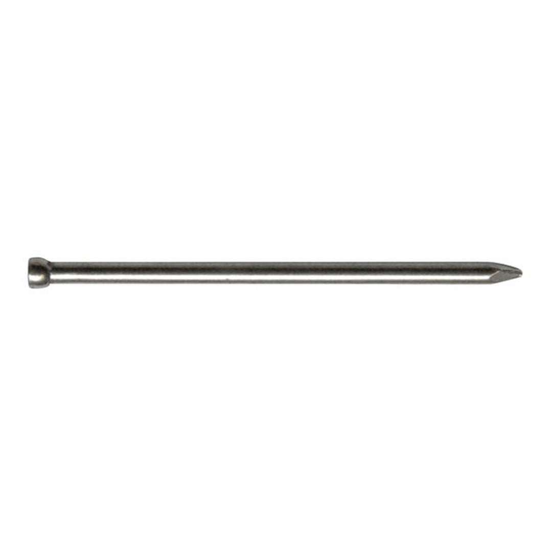 Bullet Head Nail 500g Capacity