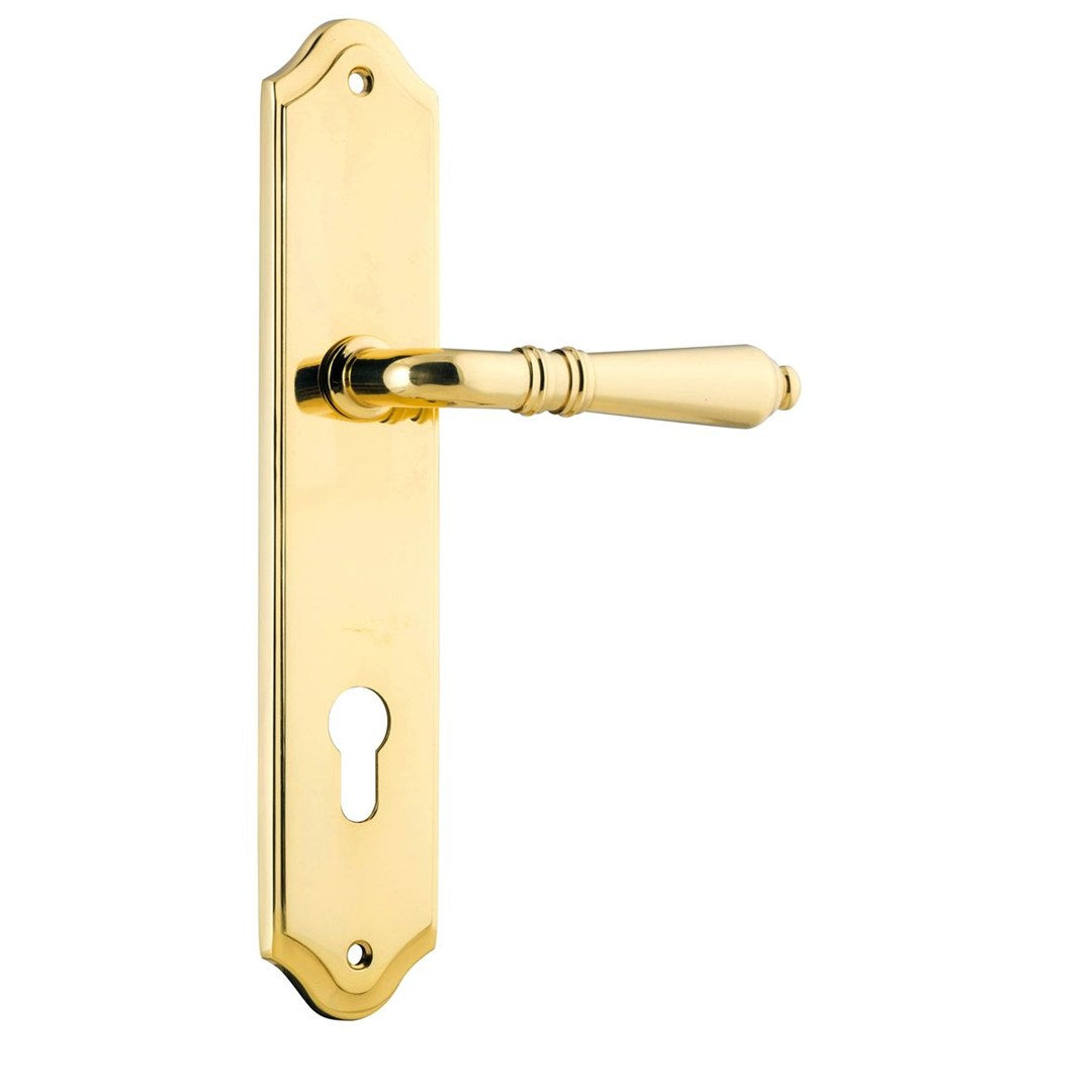 Iver Sarlat Entrance Lever Set Shouldered Backplate 250 X 48 X 55mm