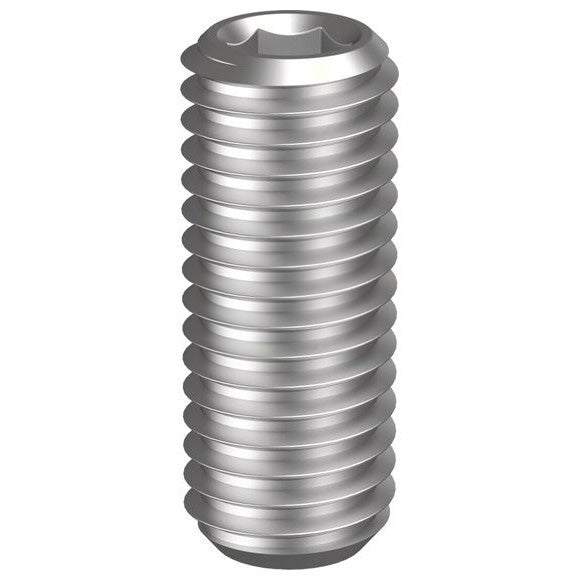 Socket Set Screw Grub Stainless Steel 304 - Metric