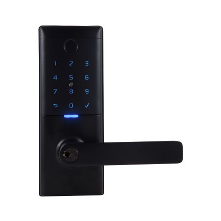 Gains Mode Smart Entrance Lock