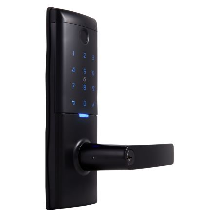 Gains Mode Smart Entrance Lock