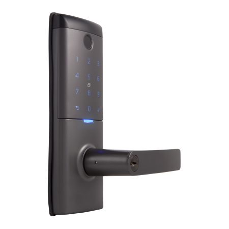 Gains Mode Smart Entrance Lock