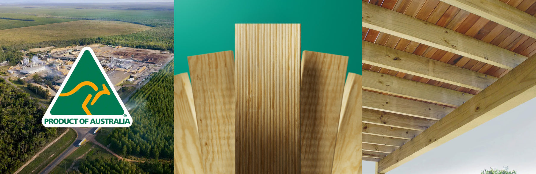 Hyne T3 Green Pine Framing