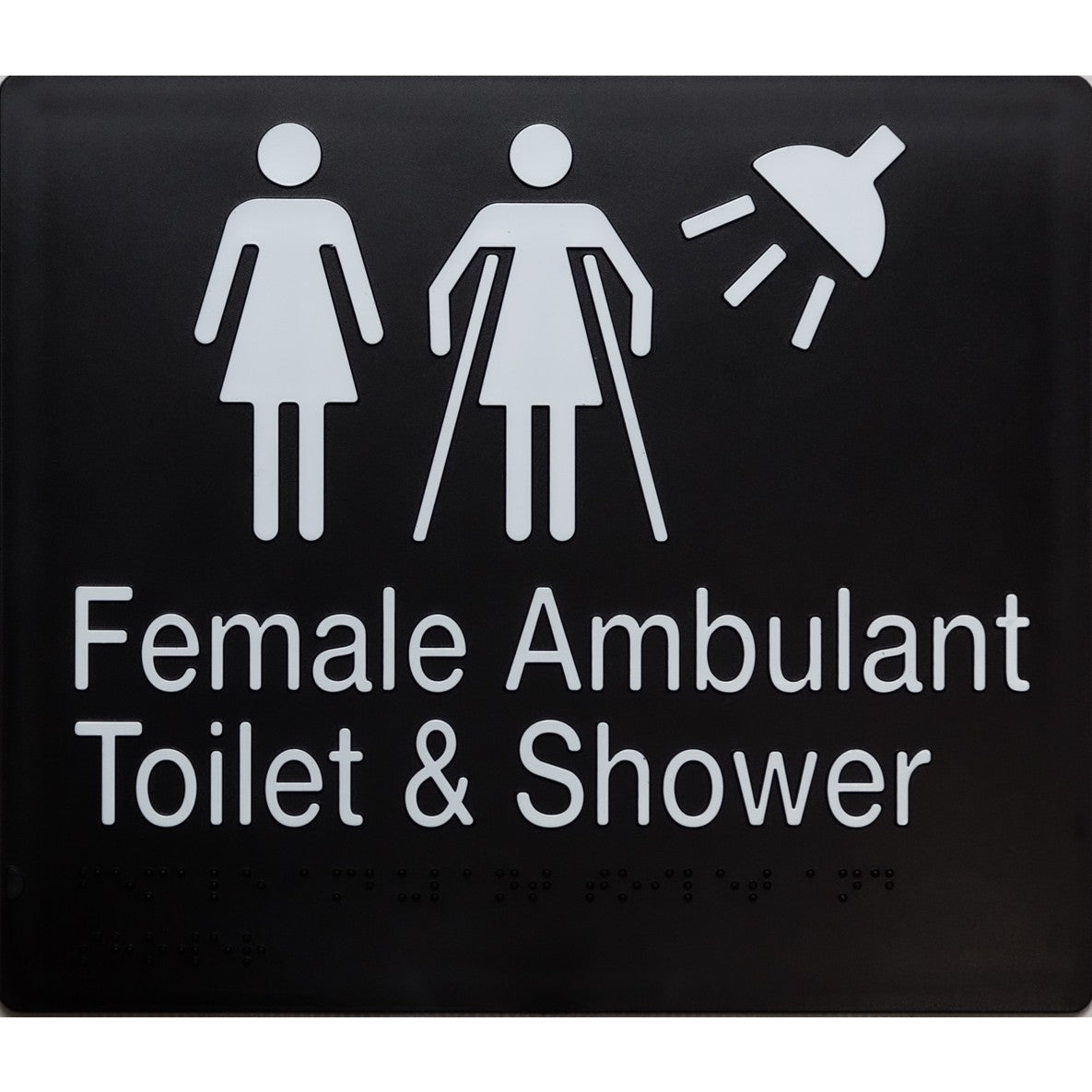 Braille Ambulant Toilet And Shower Sign 2 Icons
